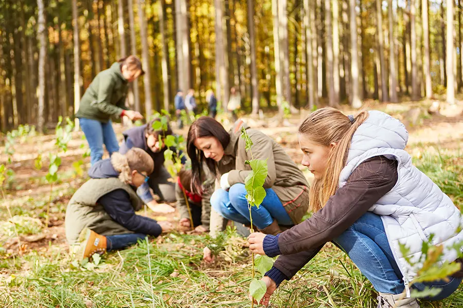 New Leaf Climate Foundation